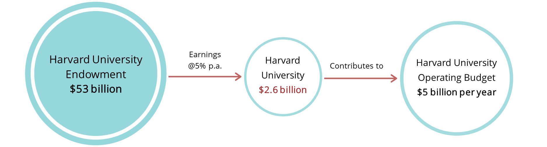 Why make Endowments for NGOs
